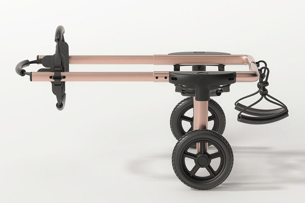 PetDali: Modern Dog Wheelchair for Outdoor Use by HS2 Studio