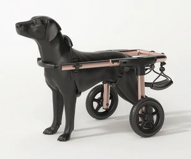 PetDali: Modern Dog Wheelchair for Outdoor Use by HS2 Studio