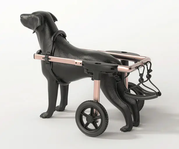 PetDali: Modern Dog Wheelchair for Outdoor Use by HS2 Studio