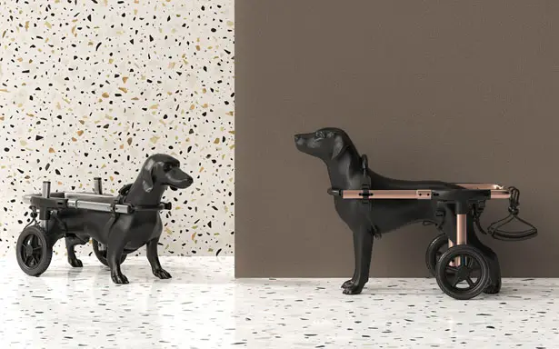 PetDali: Modern Dog Wheelchair for Outdoor Use by HS2 Studio