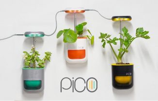 Pico – Tiny Smart Garden That Fits in Your Palm