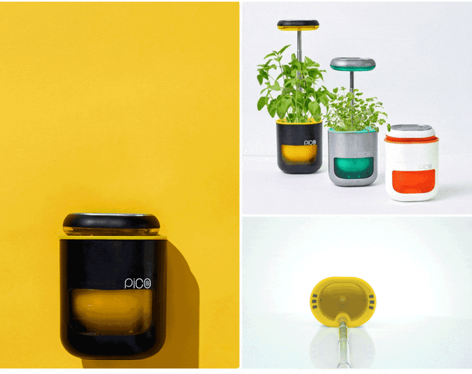 Pico - Tiny Smart Garden Fits in Your Palm