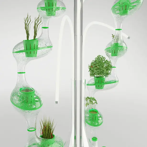 PlanTree Hdyroponic Plant Cultivator by Nur Yildirim