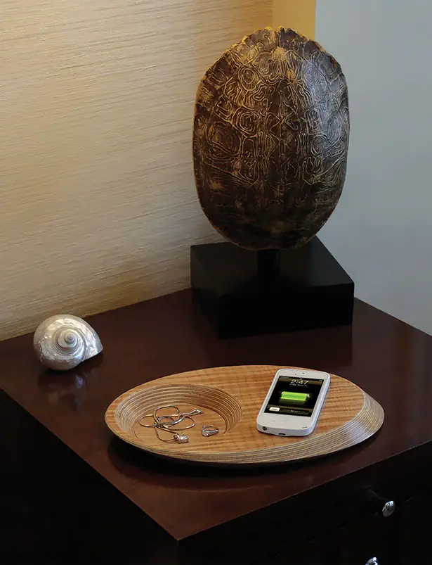 Pond Wireless Charging Devices