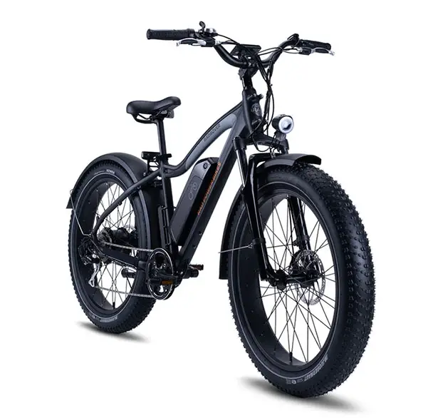 RadRover 5 Electric Fat Bike