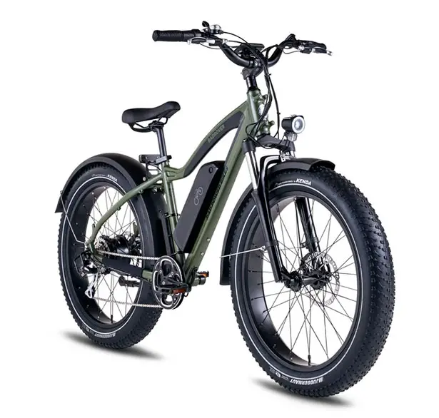 RadRover 5 Electric Fat Bike