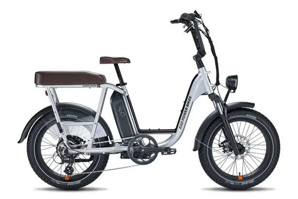 RadRunner Plus Electric Utility Bike