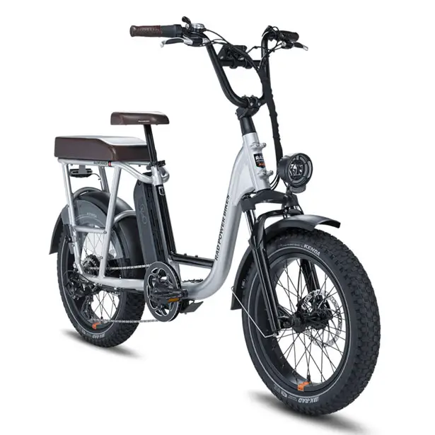 RadRunner Plus Electric Utility Bike