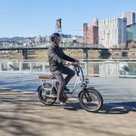 RadRunner Plus Electric Utility Bike