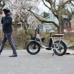 RadRunner Plus Electric Utility Bike