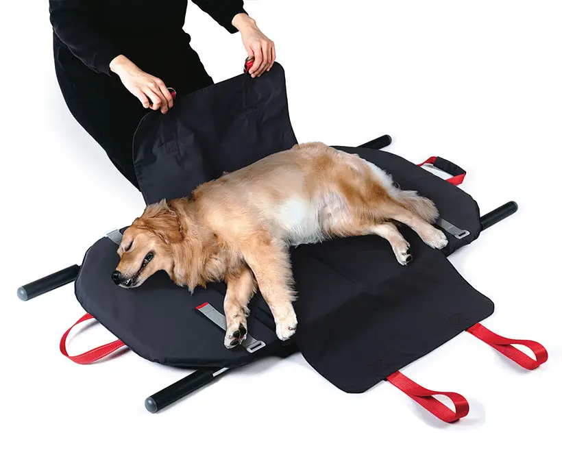 Revz Foldable and Deformable Pet Stretcher