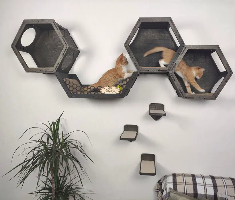 RSHPets Wall Mounted Hexagon Cat Shelves