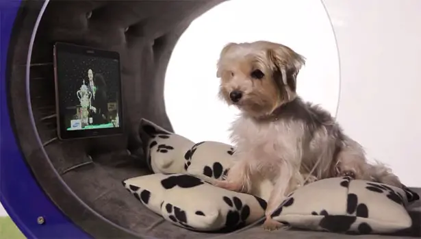 Future Samsung Dream Doghouse