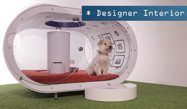 Future Samsung Dream Doghouse