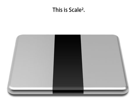 Scale Multi Functional Body Scale