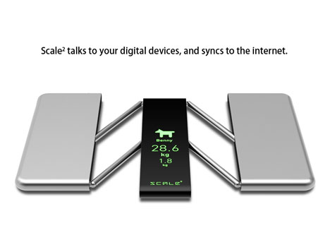 Scale Multi Functional Body Scale