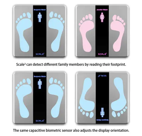 Scale Multi Functional Body Scale