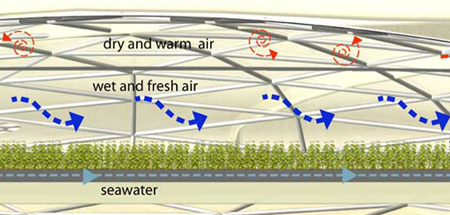 seawater vertical farm