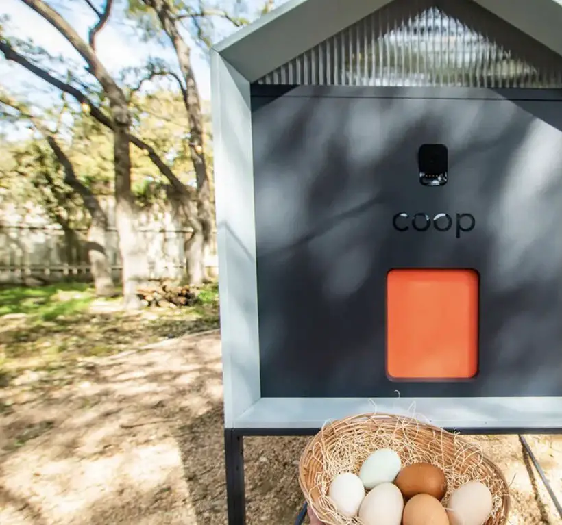 Smart Home Technology is Now Available on Your Backyard Chicken Coop