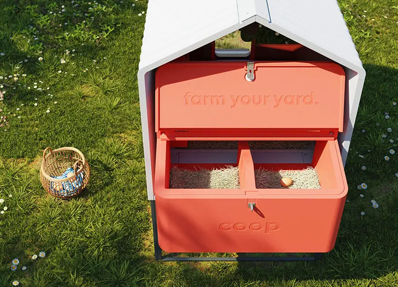 Smart Home Technology is Now Available on Your Backyard Chicken Coop