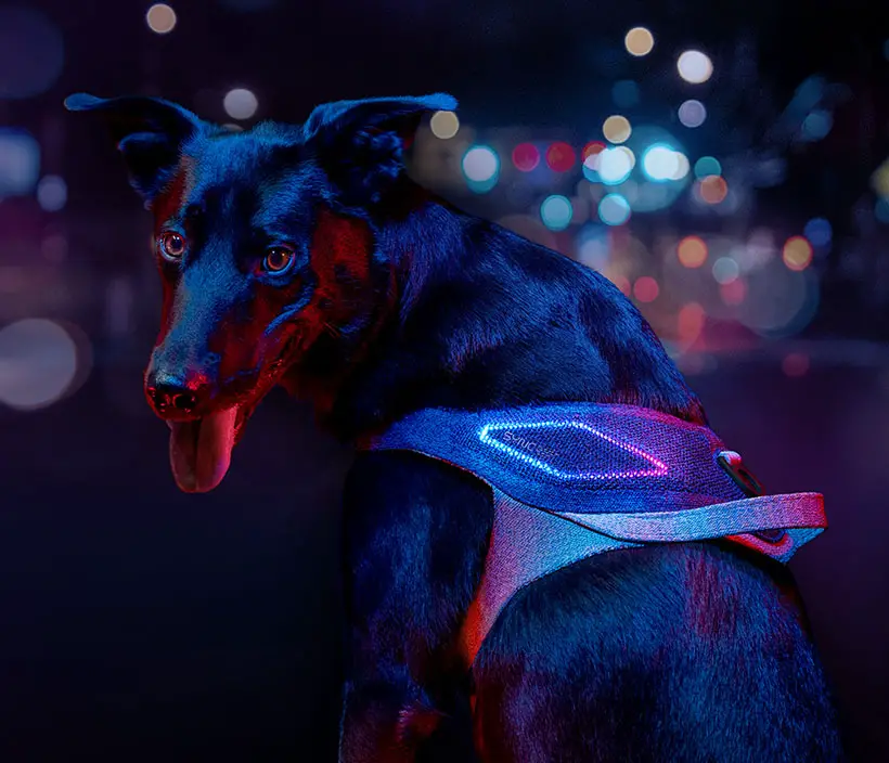 JK9 Sync Smart Dog Harness for JK9 LAB by Alberto Vasquez