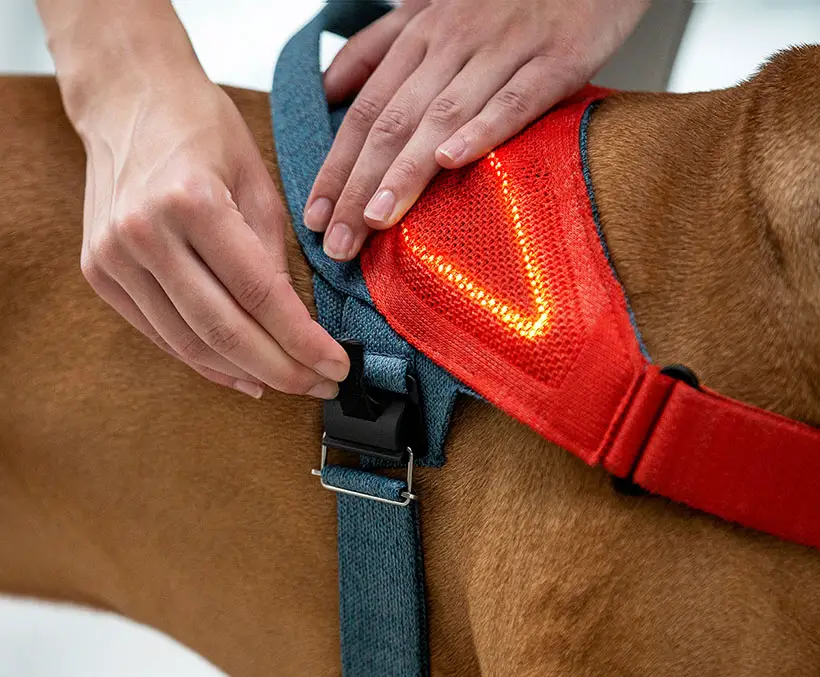 JK9 Sync Smart Dog Harness for JK9 LAB by Alberto Vasquez