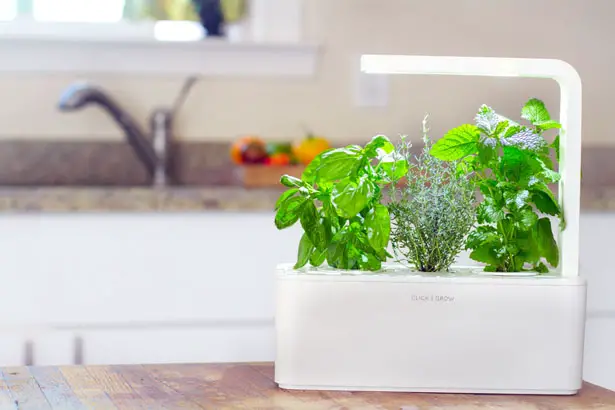 Smart Herb Garden by Click and Grow