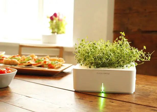 Smart Herb Garden by Click and Grow