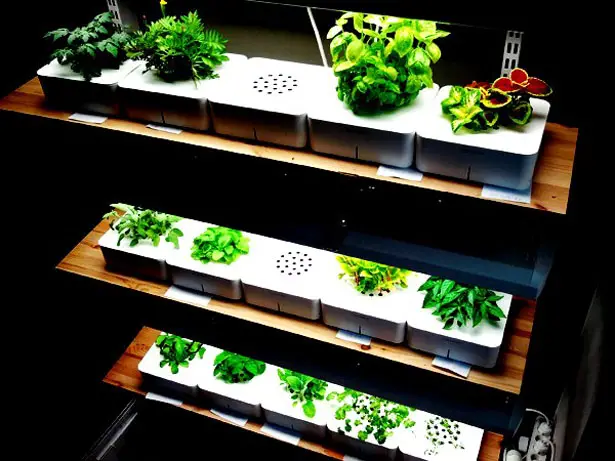 Smart Herb Garden by Click and Grow