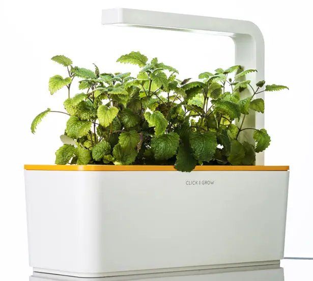 Smart Herb Garden by Click and Grow