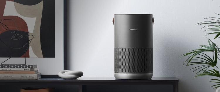 Portable Smartmi Smart Air Purifiers Works with HomeKit Alexa