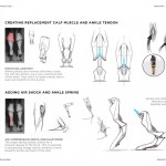 Soleis Prosthetic Leg Concept by Thomas Belhacene