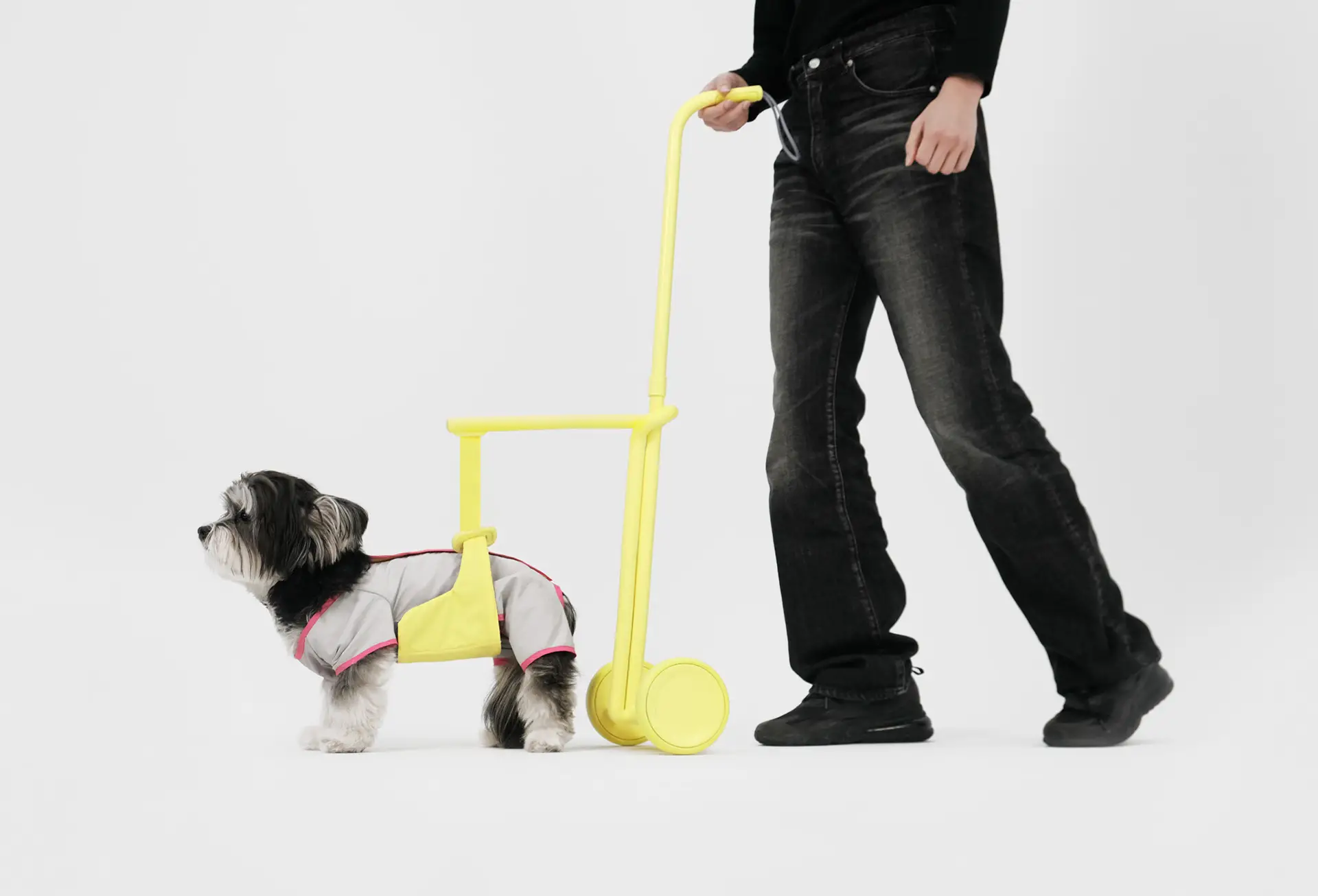 Steady Walking Aid for Elderly Dogs by Chaewon Lee and Jungmin Park