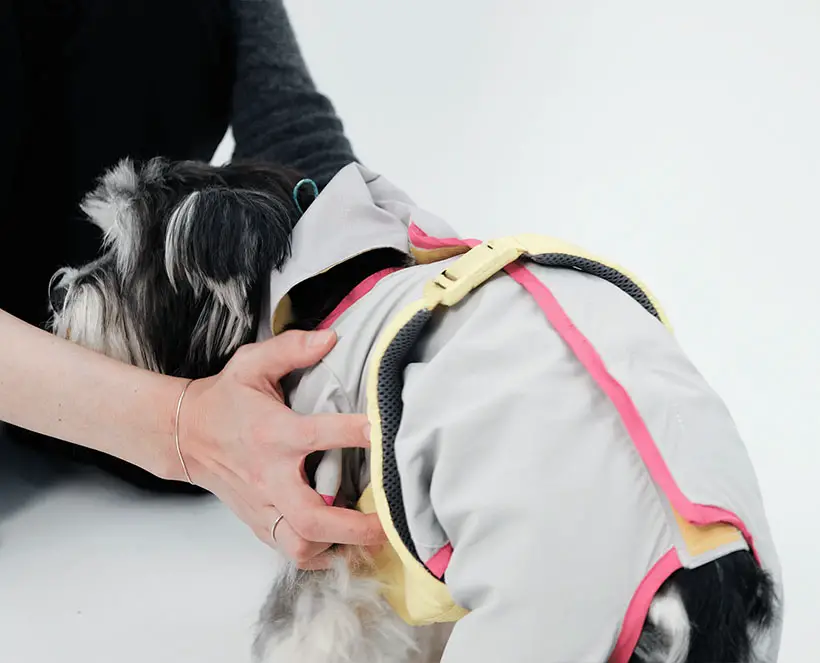 Steady Walking Aid for Elderly Dogs by Chaewon Lee and Jungmin Park