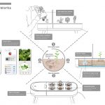 Sustainable Family Farm by Chaozhi Lin, Junjie Zhou, Yong Liu, Can Wang, Jiashun Lin