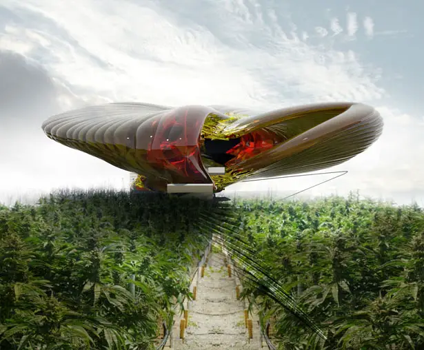 Sustainable Hemp and Medical Marijuana Farm by Margot Krasojevic