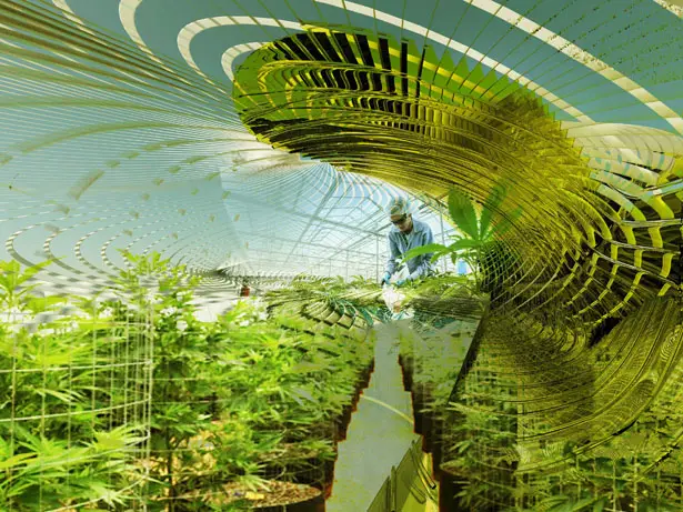 Sustainable Hemp and Medical Marijuana Farm by Margot Krasojevic