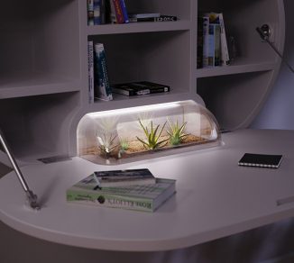 Terrarium Desk by Jake Round