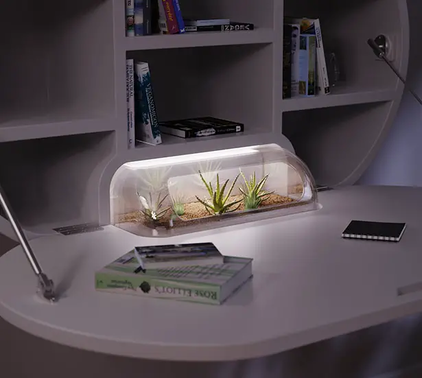 Terrarium Desk by Jake Round