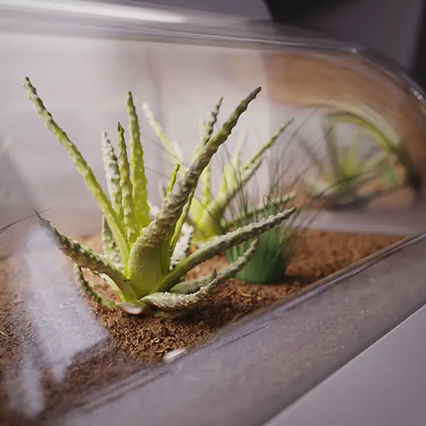 Terrarium Desk by Jake Round