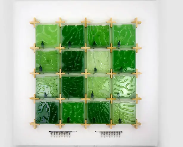 Start Home Algae Farming with The Coral by Hyunseok An of Ulrim