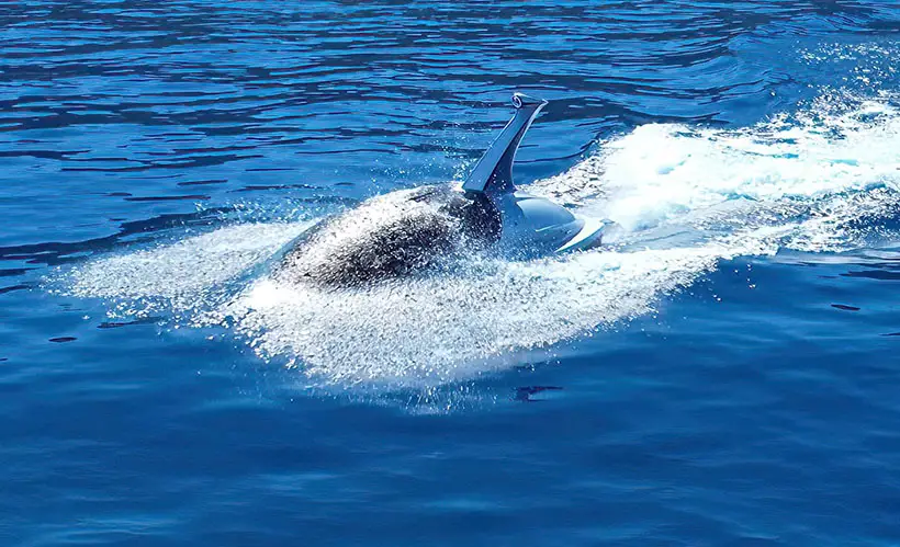 Jet Shark Submersible Watercraft