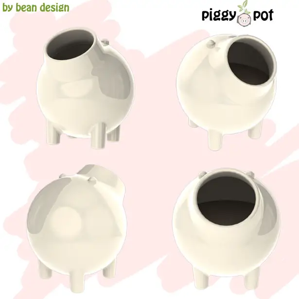 the piggy pot