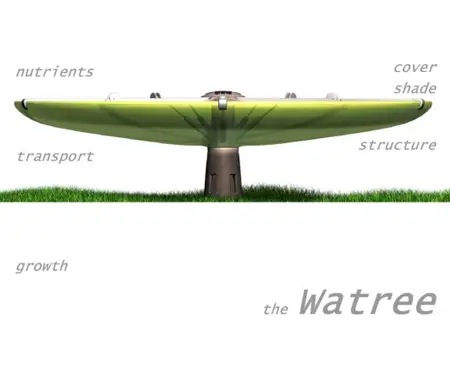 the watree