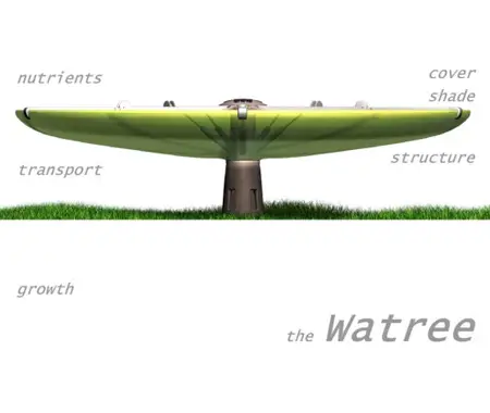 The Watree Will Collect The Rain Water and Used During The Summer