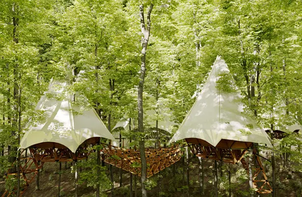 Treewalkers - Modular Glamping Tree Tent