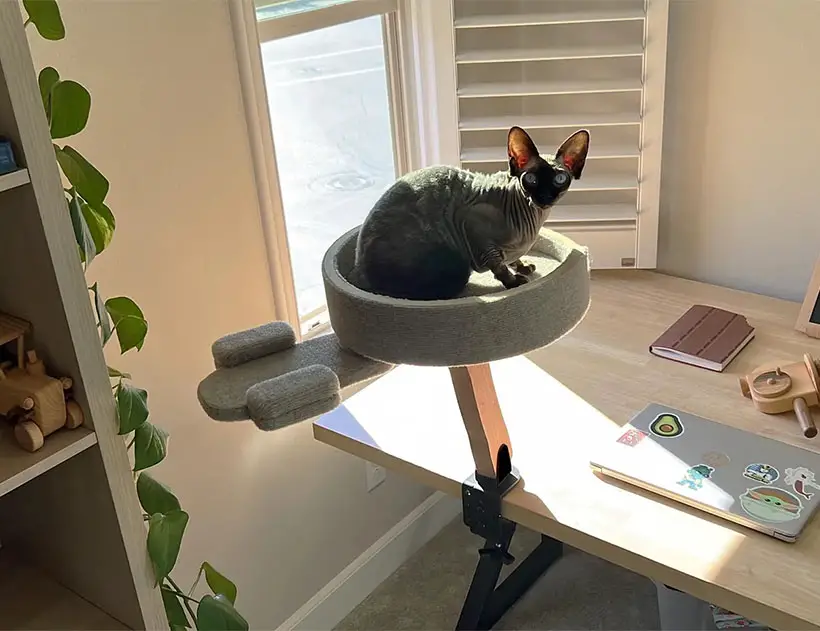 Trek Style Elevated Cat Bed Allows Your Feline Friend To Supervise Your Work