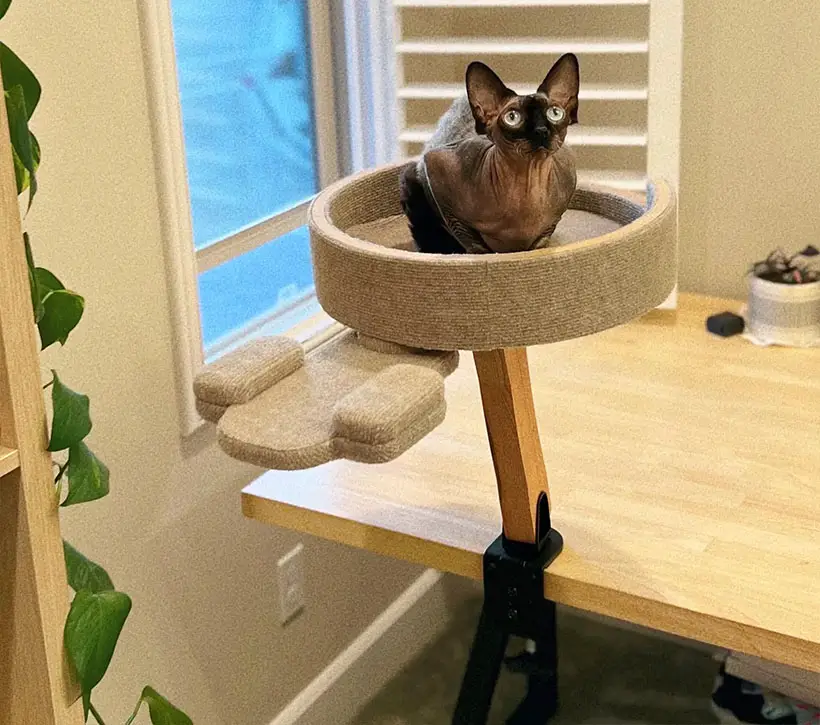Trek Style Elevated Cat Bed Allows Your Feline Friend To Supervise Your Work