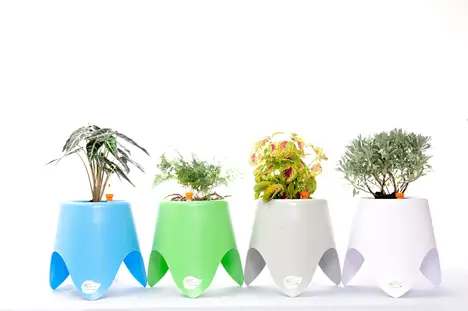 Tripot 1 Plant Pot Review