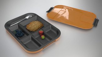 Stylish Venn Bento Lunch Box for Fashionable People